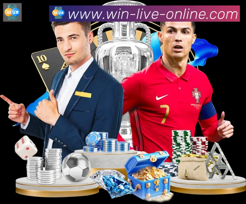 体育数据展示